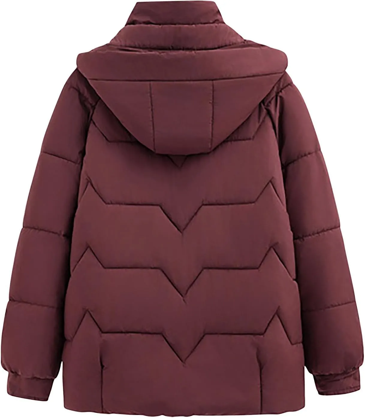Winter Thermal Down Jackets for Women Heavyweight Thick Puffer Coats with Removable Hood Medium Length Zip Up Outfits